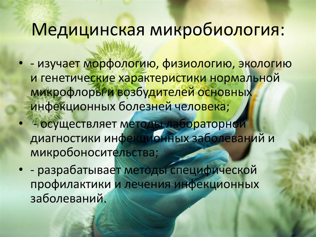 Медицинская микробиология: