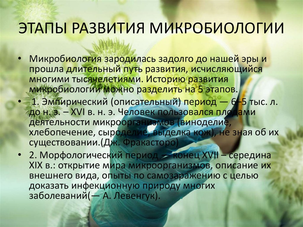 ЭТАПЫ РАЗВИТИЯ МИКРОБИОЛОГИИ