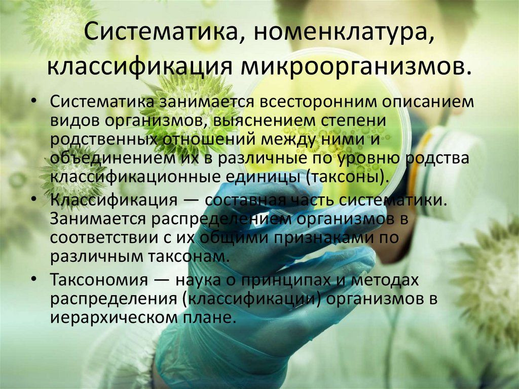 Систематика, номенклатура, классификация микроорганизмов.