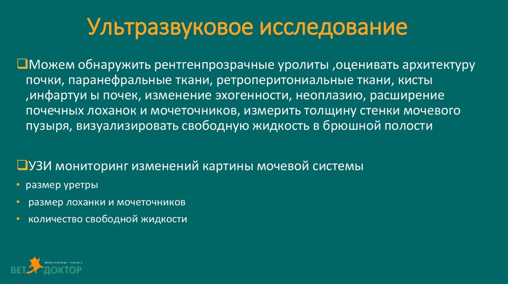 Ультразвуковое исследование