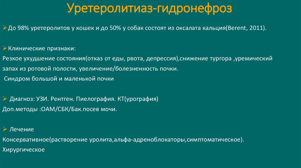 Уретеролитиаз-гидронефроз