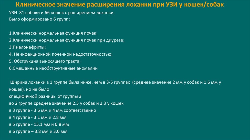 Клиническое значение расширения лоханки при УЗИ у кошек/собак