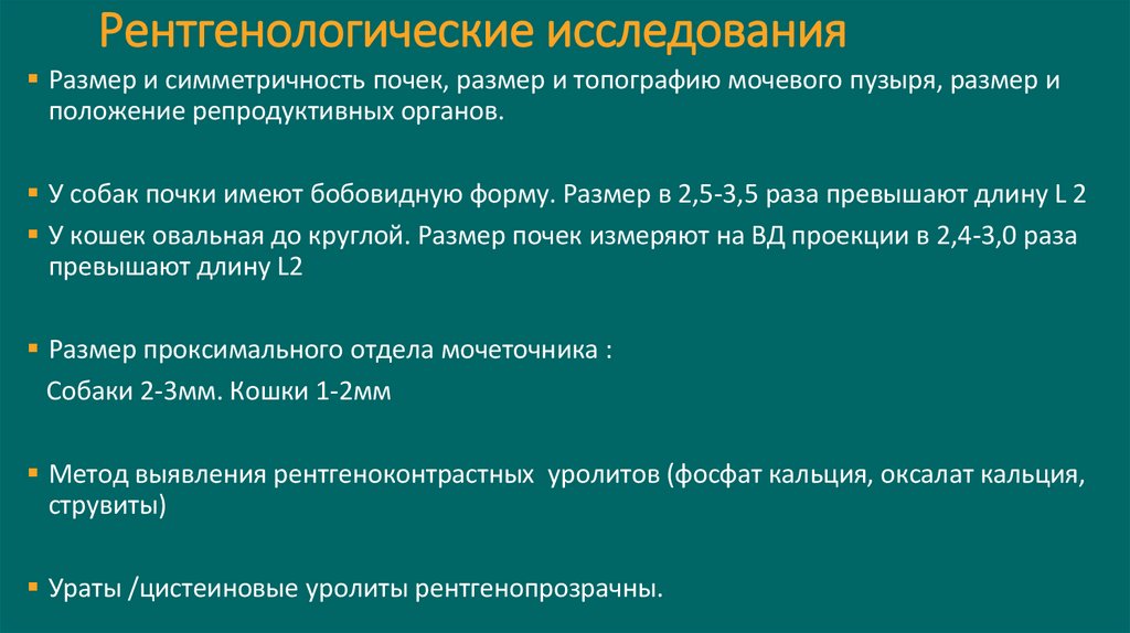 Рентгенологические исследования