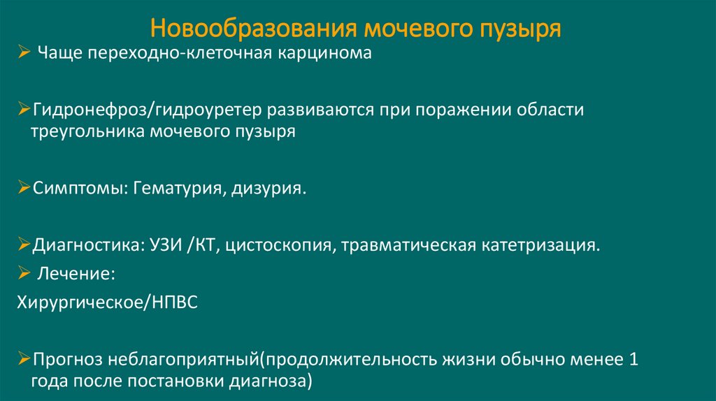 Новообразования мочевого пузыря