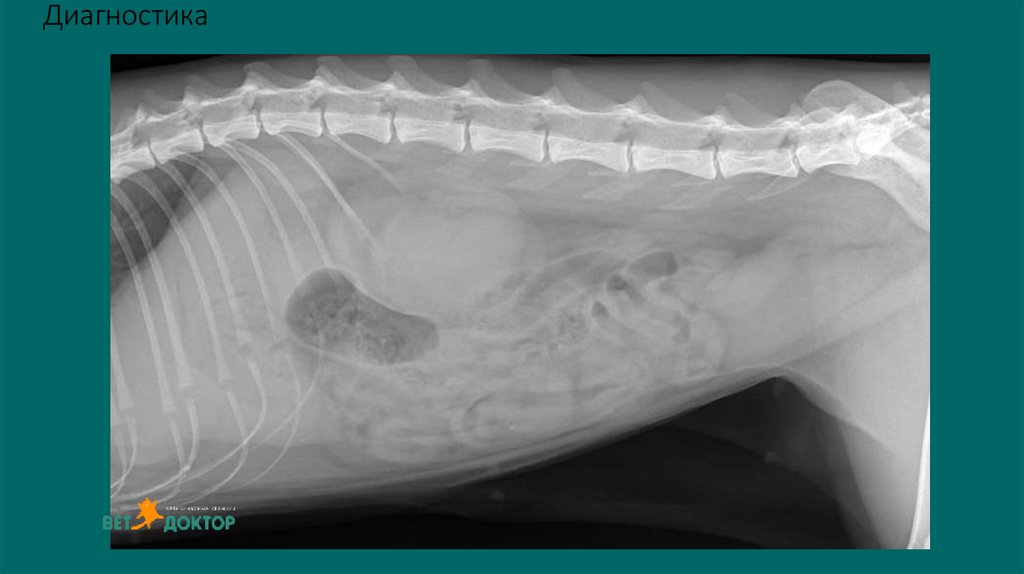 Диагностика