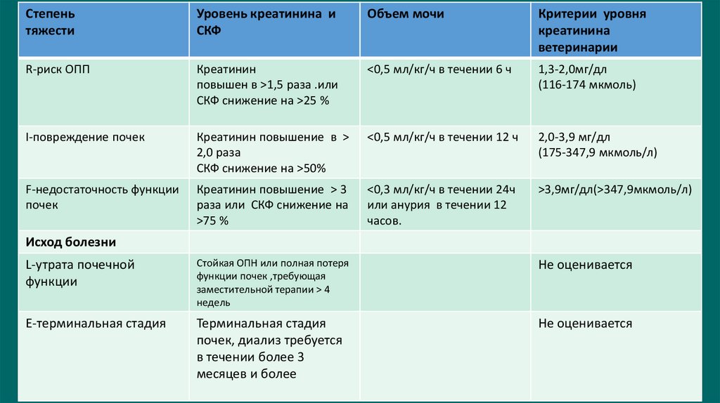 Система RIFLE группы экспертов ADQI и ее модификация в вет. медицине собак.
