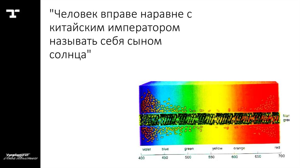 "Человек вправе наравне с китайским императором называть себя сыном солнца"
