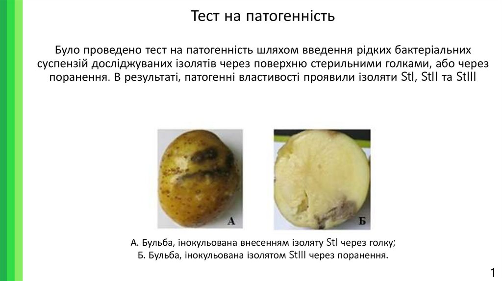 Тест на патогенність