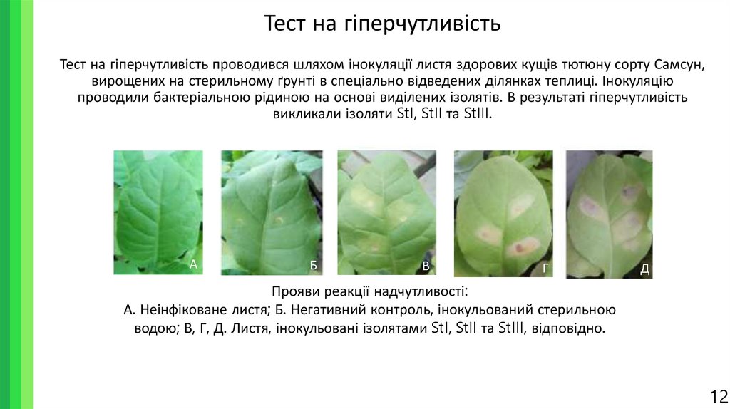 Тест на гіперчутливість