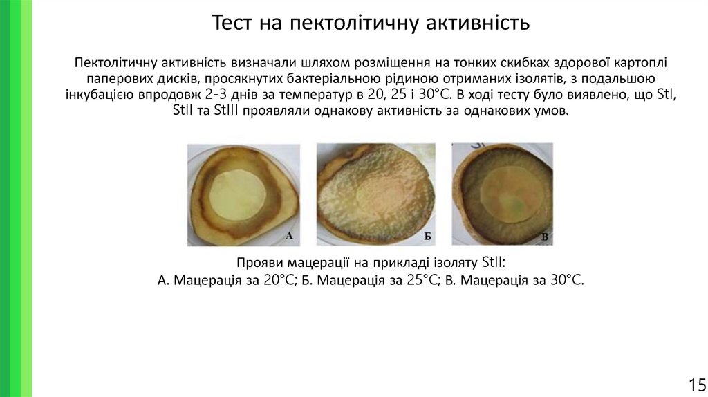 Тест на пектолітичну активність