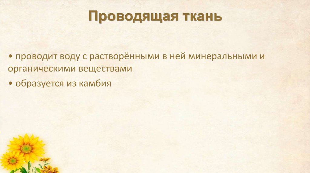 Проводящая ткань
