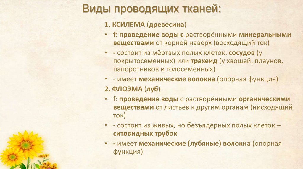 Виды проводящих тканей: