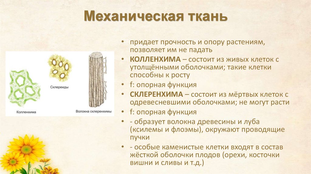 Механическая ткань