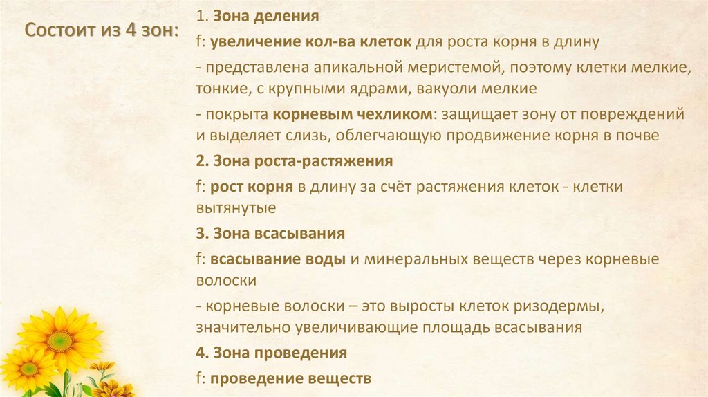 Состоит из 4 зон: