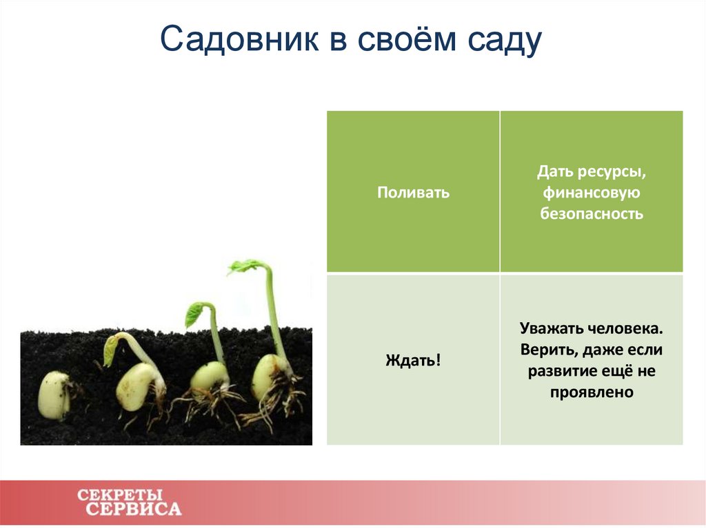 Садовник в своём саду