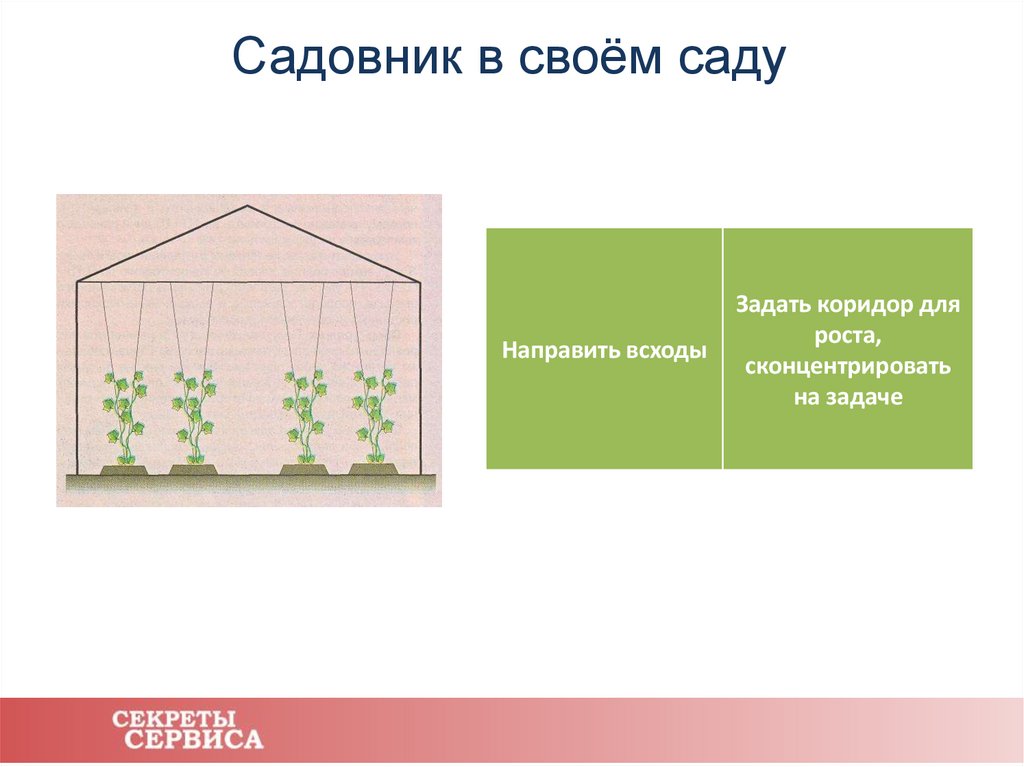 Садовник в своём саду