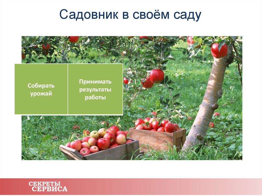 Садовник в своём саду