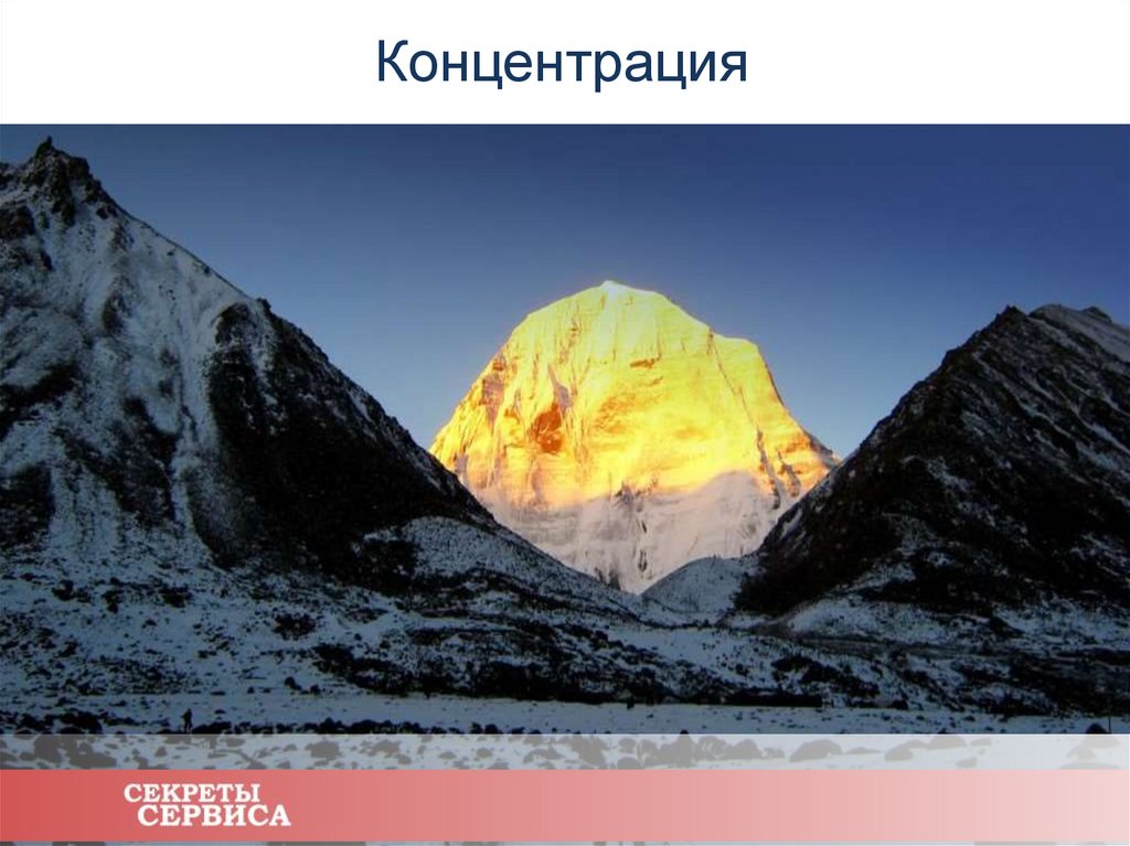 Концентрация