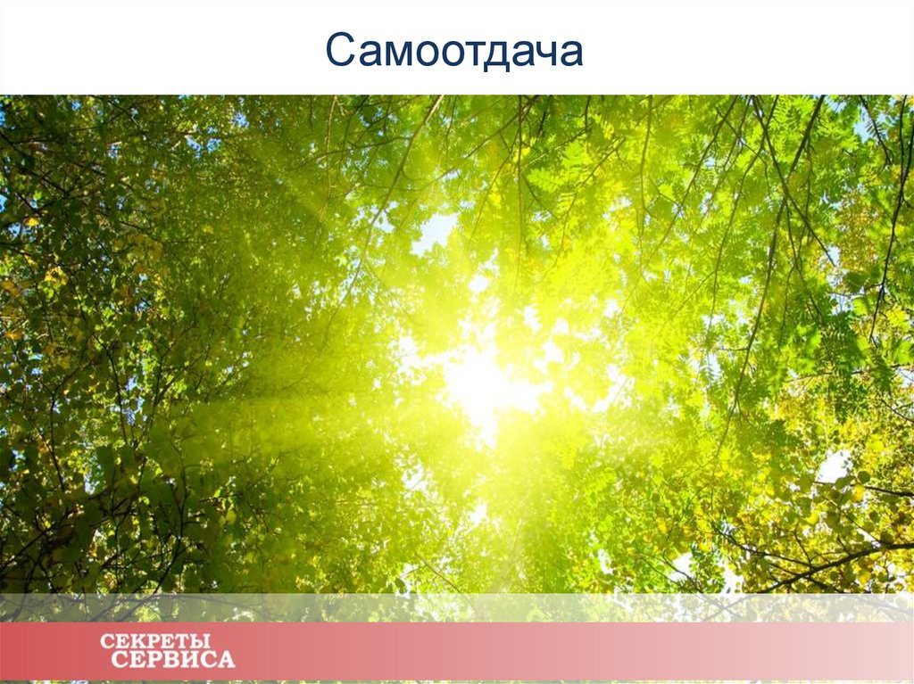 Самоотдача