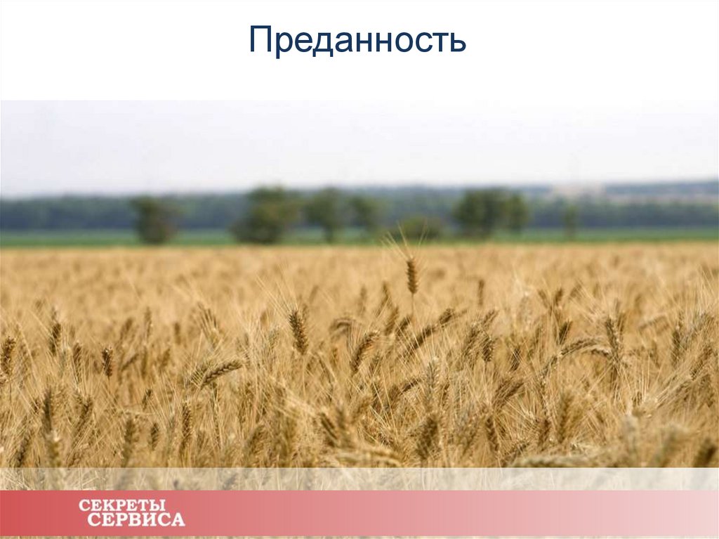 Преданность