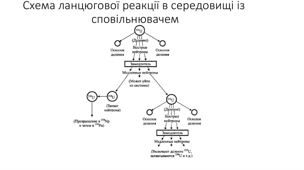 Схема ланцюгової реакції в середовищі із сповільнювачем