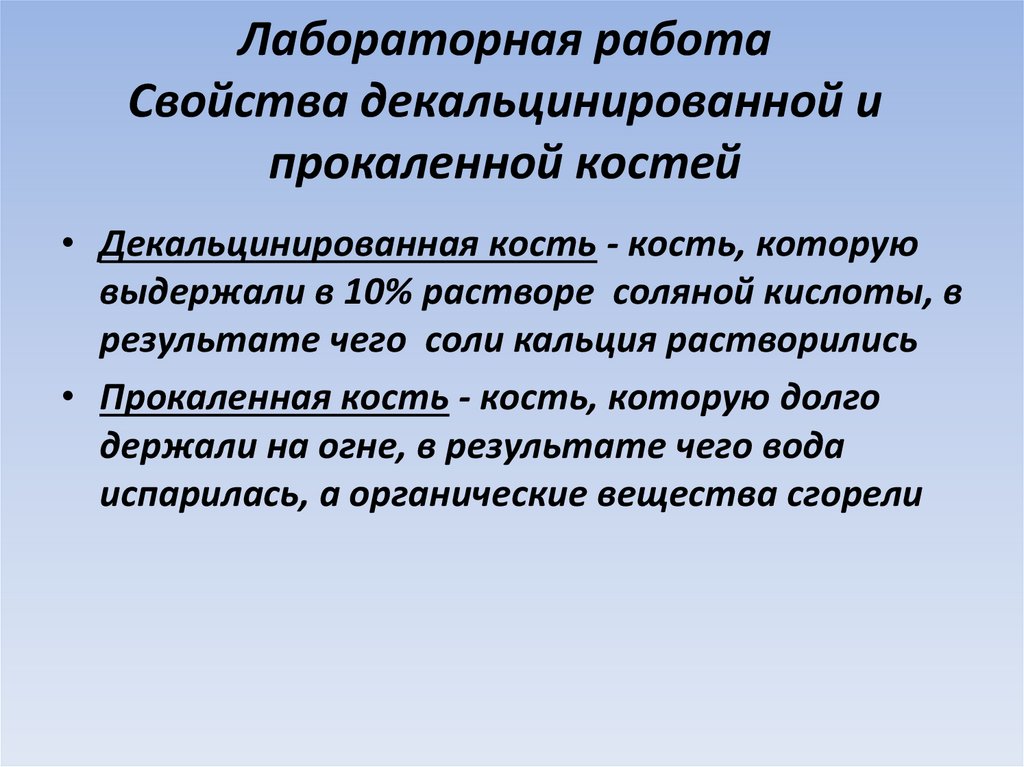 Лабораторная работа Свойства декальцинированной и прокаленной костей
