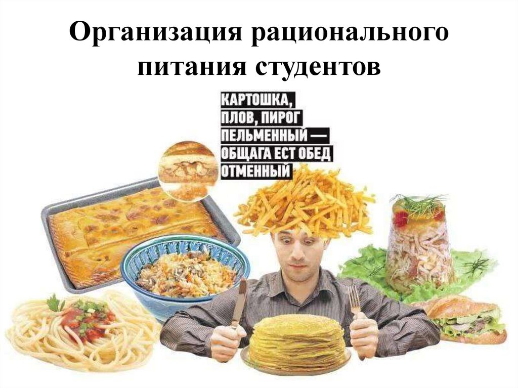 Организация рационального питания студентов