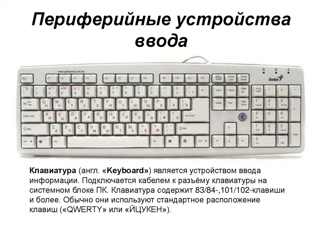Периферийные устройства ввода