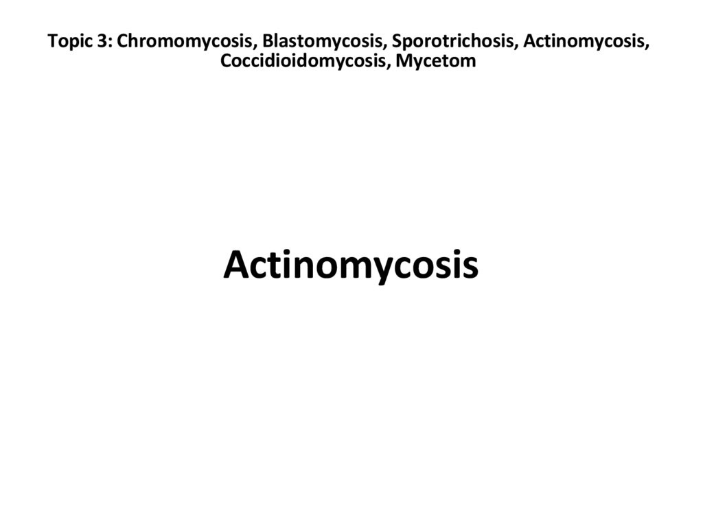Topic 3: Chromomycosis, Blastomycosis, Sporotrichosis, Actinomycosis, Coccidioidomycosis, Mycetom