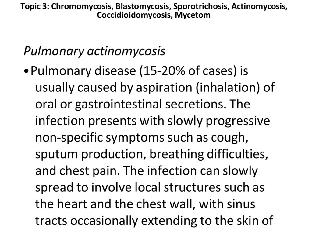 Pulmonary actinomycosis