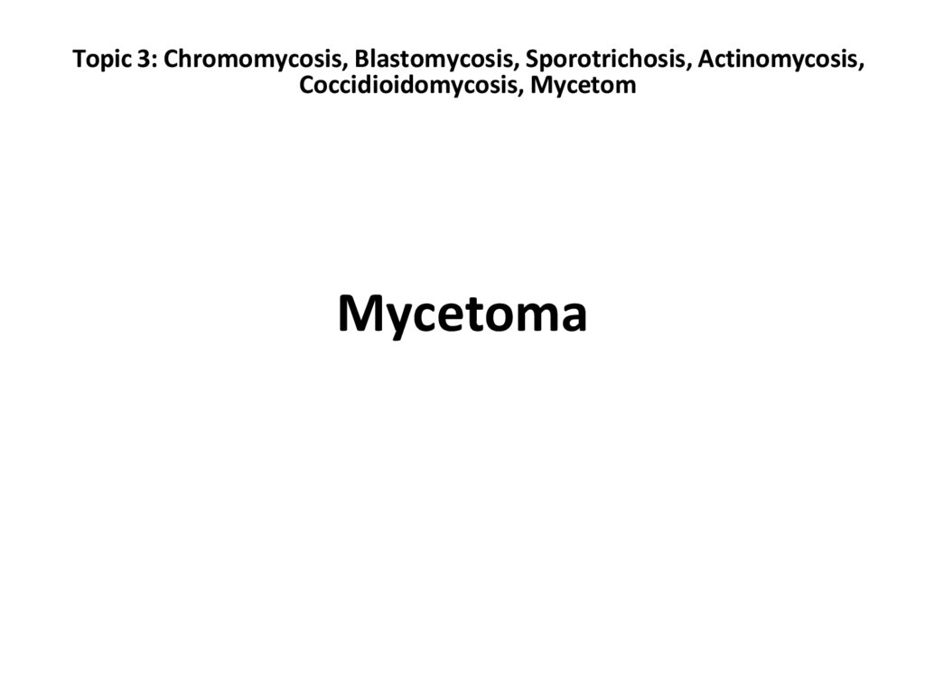 Topic 3: Chromomycosis, Blastomycosis, Sporotrichosis, Actinomycosis, Coccidioidomycosis, Mycetom