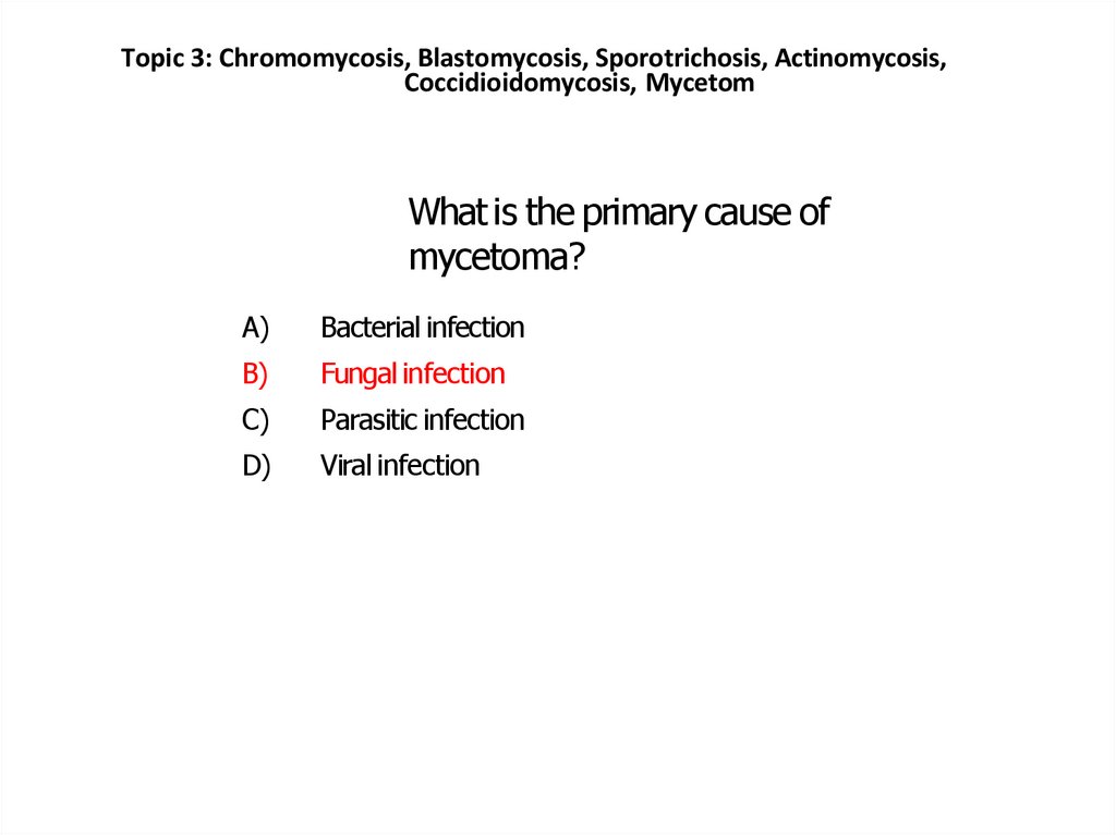 What is the primary cause of mycetoma?