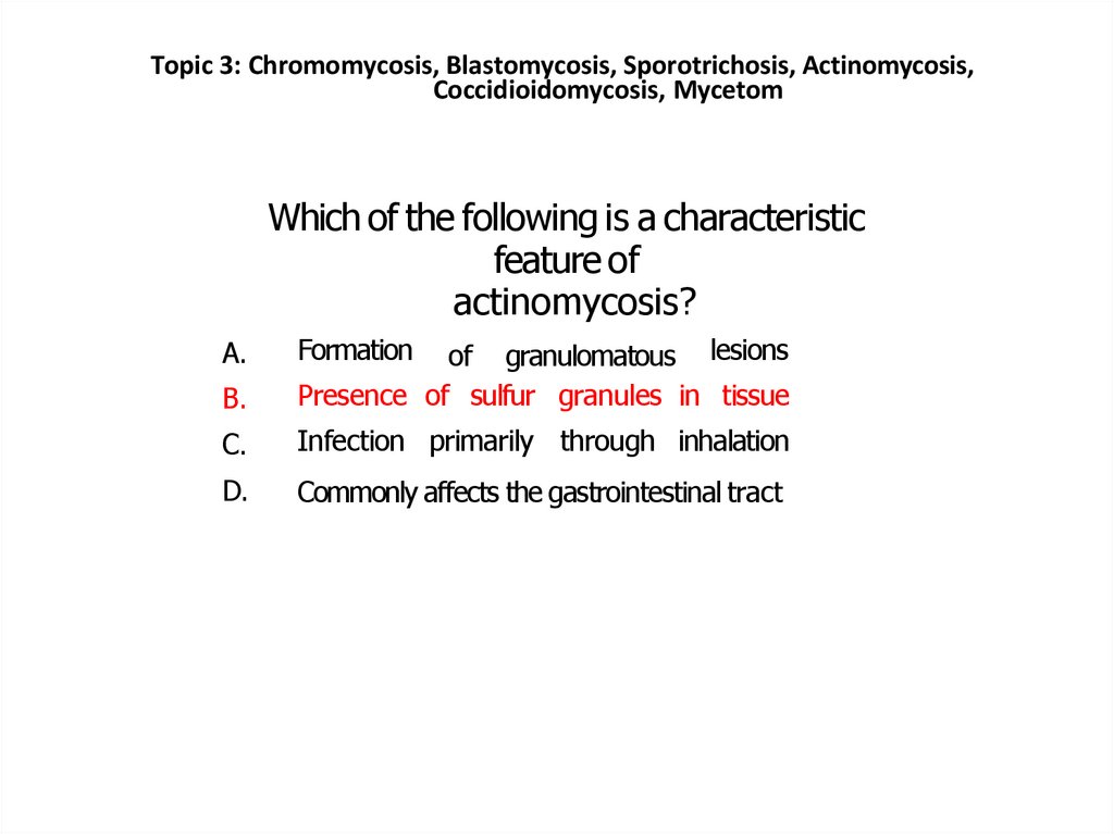 Which of the following is a characteristic feature of actinomycosis?