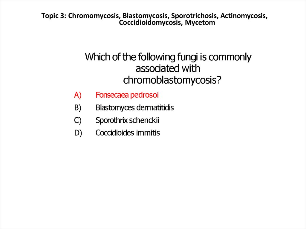 Which of the following fungi is commonly associated with chromoblastomycosis?