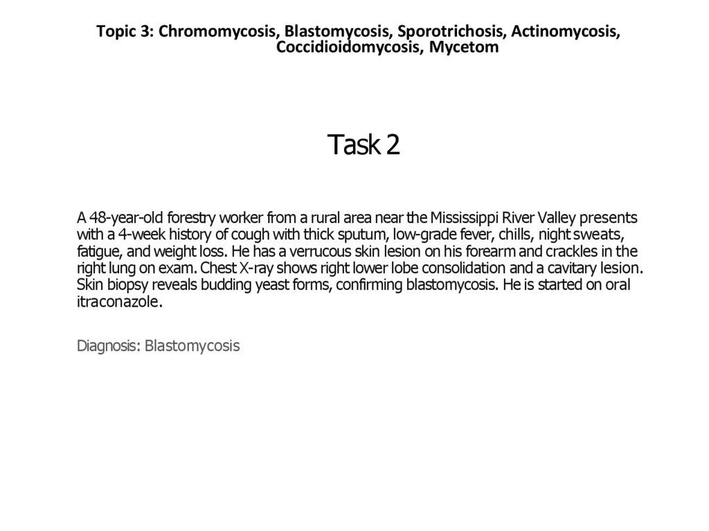 Task 2