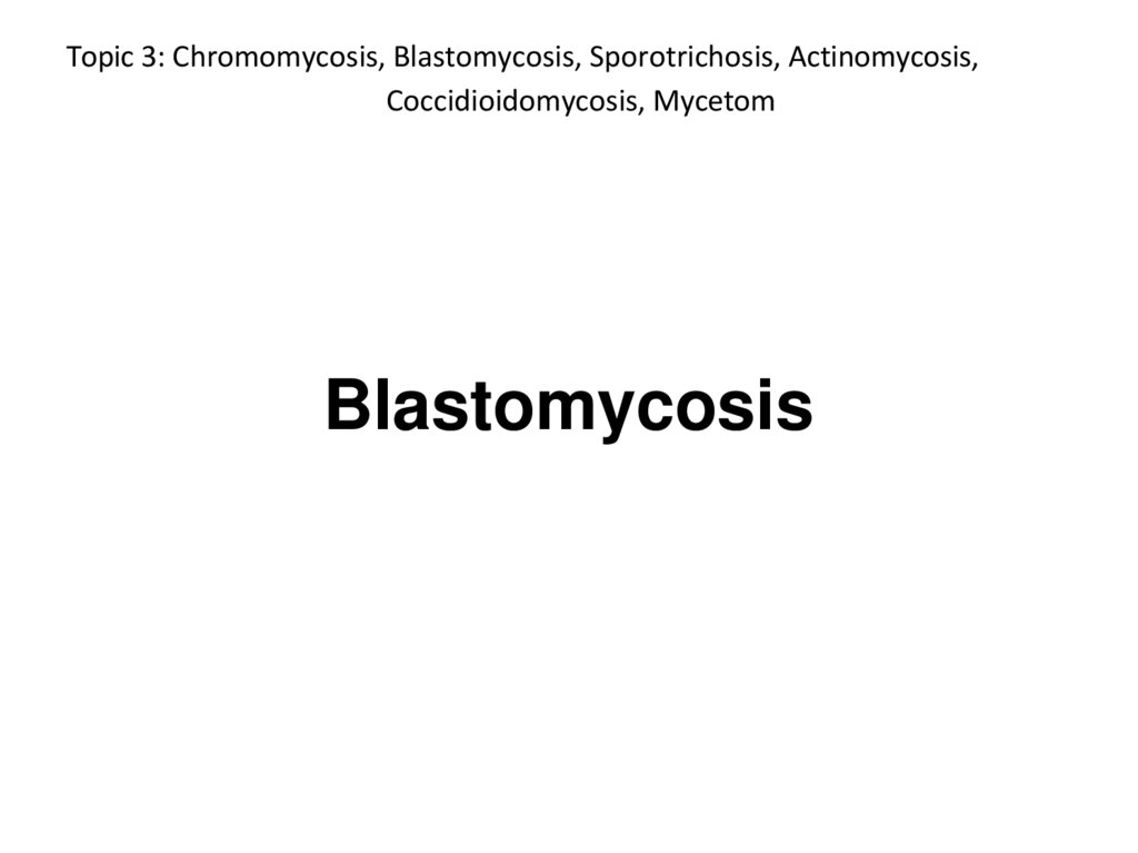 Topic 3: Chromomycosis, Blastomycosis, Sporotrichosis, Actinomycosis, Coccidioidomycosis, Mycetom