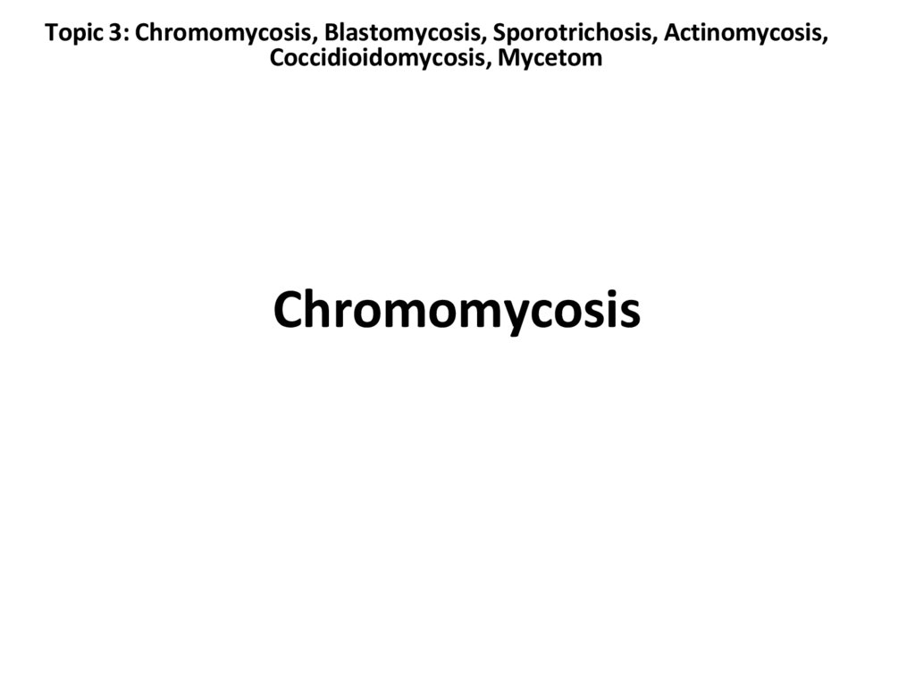 Topic 3: Chromomycosis, Blastomycosis, Sporotrichosis, Actinomycosis, Coccidioidomycosis, Mycetom