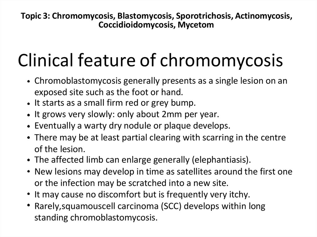 Clinical feature of chromomycosis