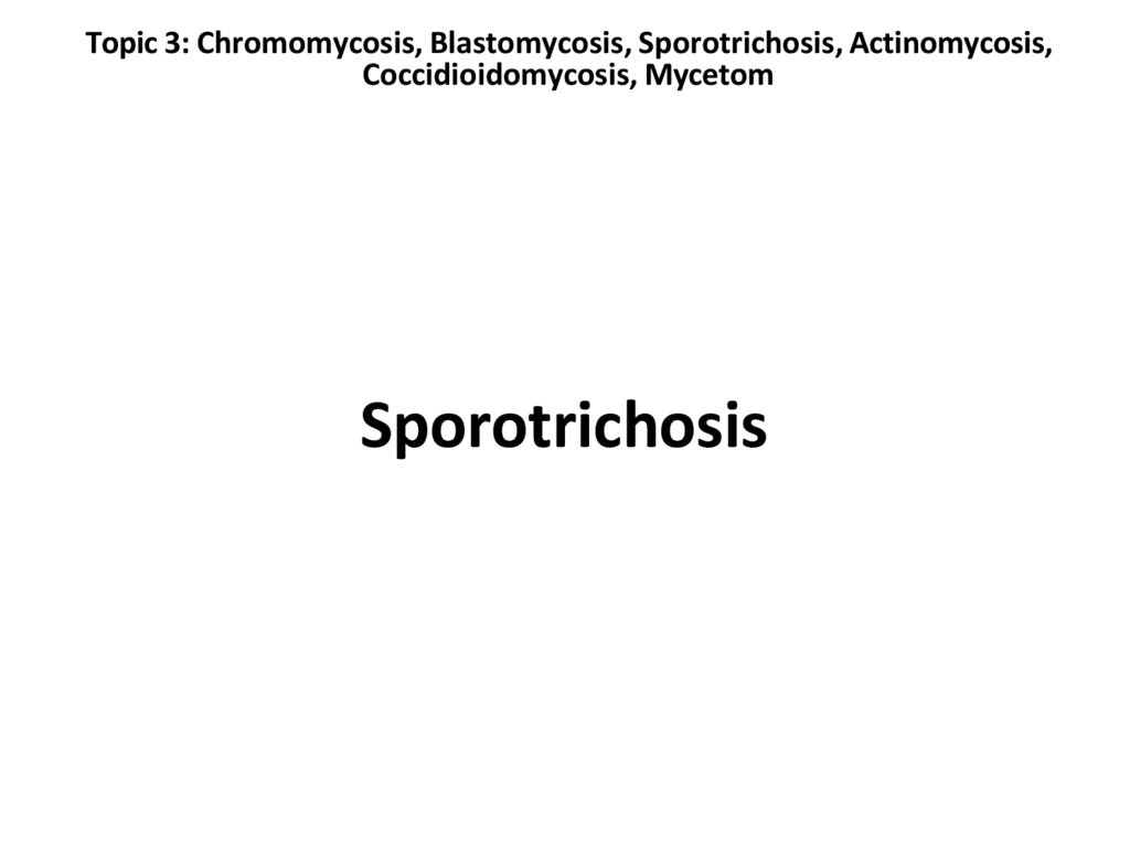 Topic 3: Chromomycosis, Blastomycosis, Sporotrichosis, Actinomycosis, Coccidioidomycosis, Mycetom