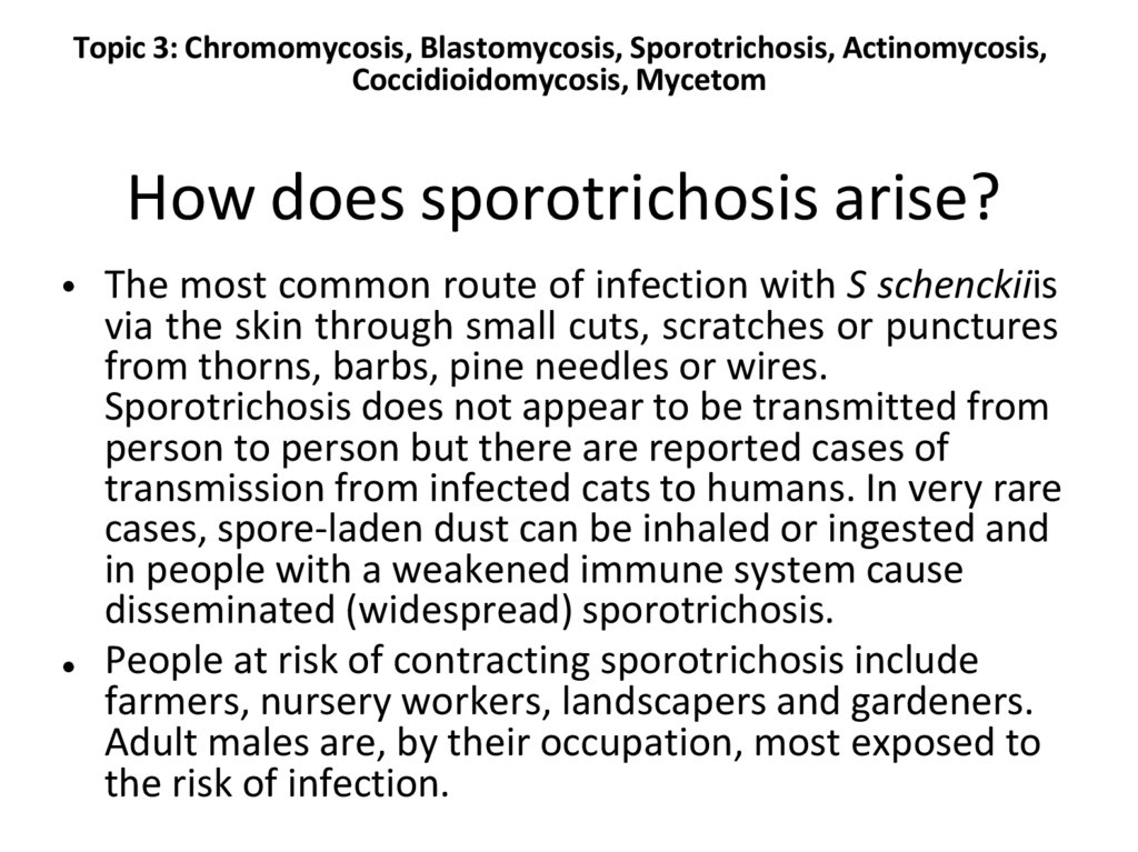 How does sporotrichosis arise?