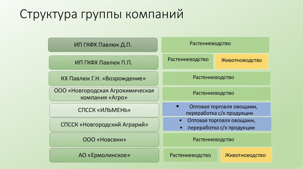 Структура группы компаний