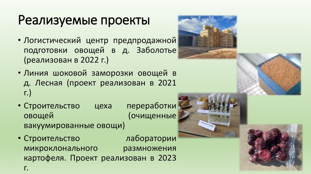 Реализуемые проекты