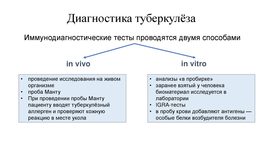 Диагностика туберкулёза