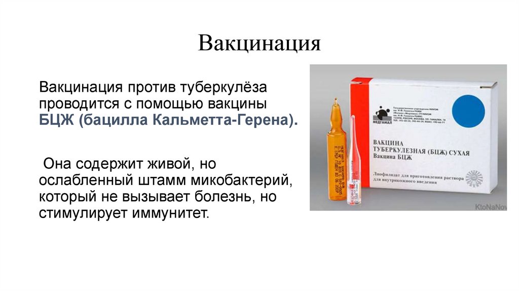 Вакцинация