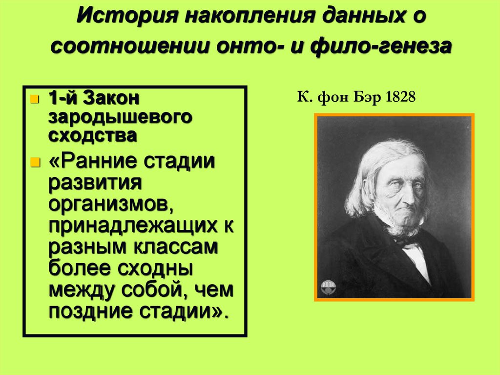 История накопления данных о соотношении онто- и фило-генеза