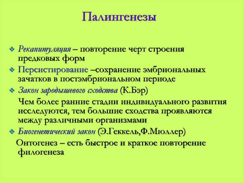 Палингенезы