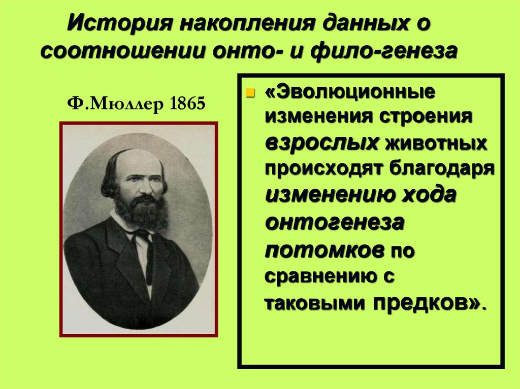 История накопления данных о соотношении онто- и фило-генеза