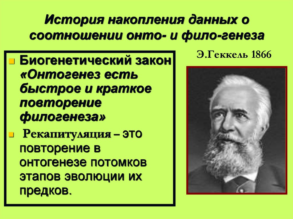 История накопления данных о соотношении онто- и фило-генеза