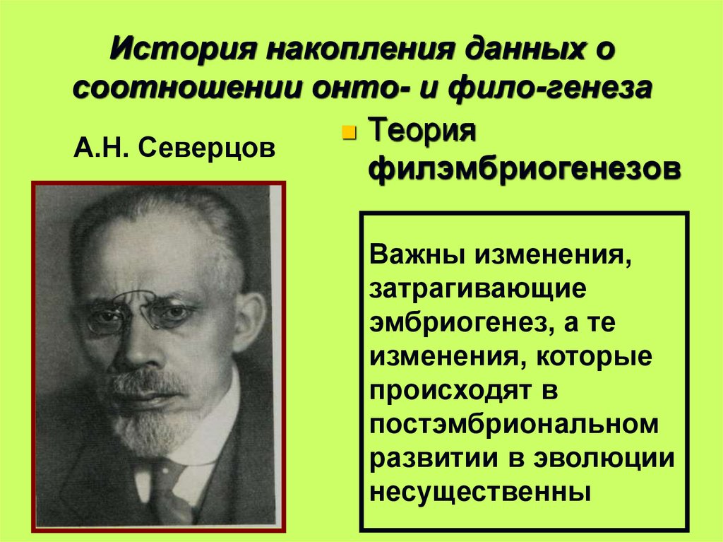 История накопления данных о соотношении онто- и фило-генеза