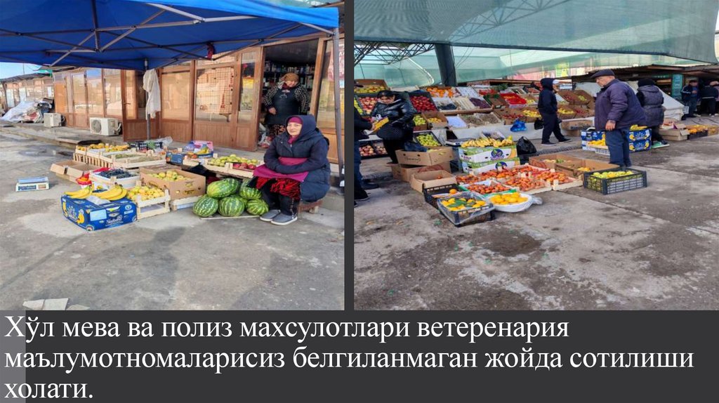 Хўл мева ва полиз махсулотлари ветеренария маълумотномаларисиз белгиланмаган жойда сотилиши холати.